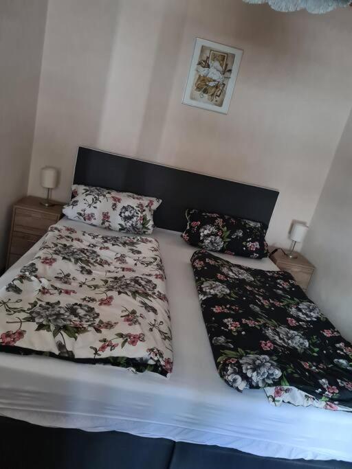 Gemuetliche Ferienwohnung Am Waldrand Elgersburg Eksteriør bilde